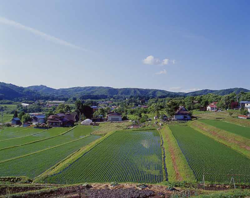 田園風景