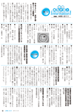 広報しらたか11月号