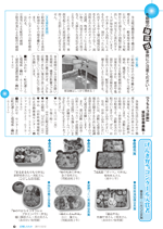 広報しらたか12月号