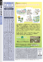 広報しらたか　平成25年5月13日発行