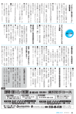 広報しらたか　平成25年６月12日発行