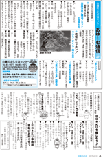 広報しらたか　平成27年4月13日発行