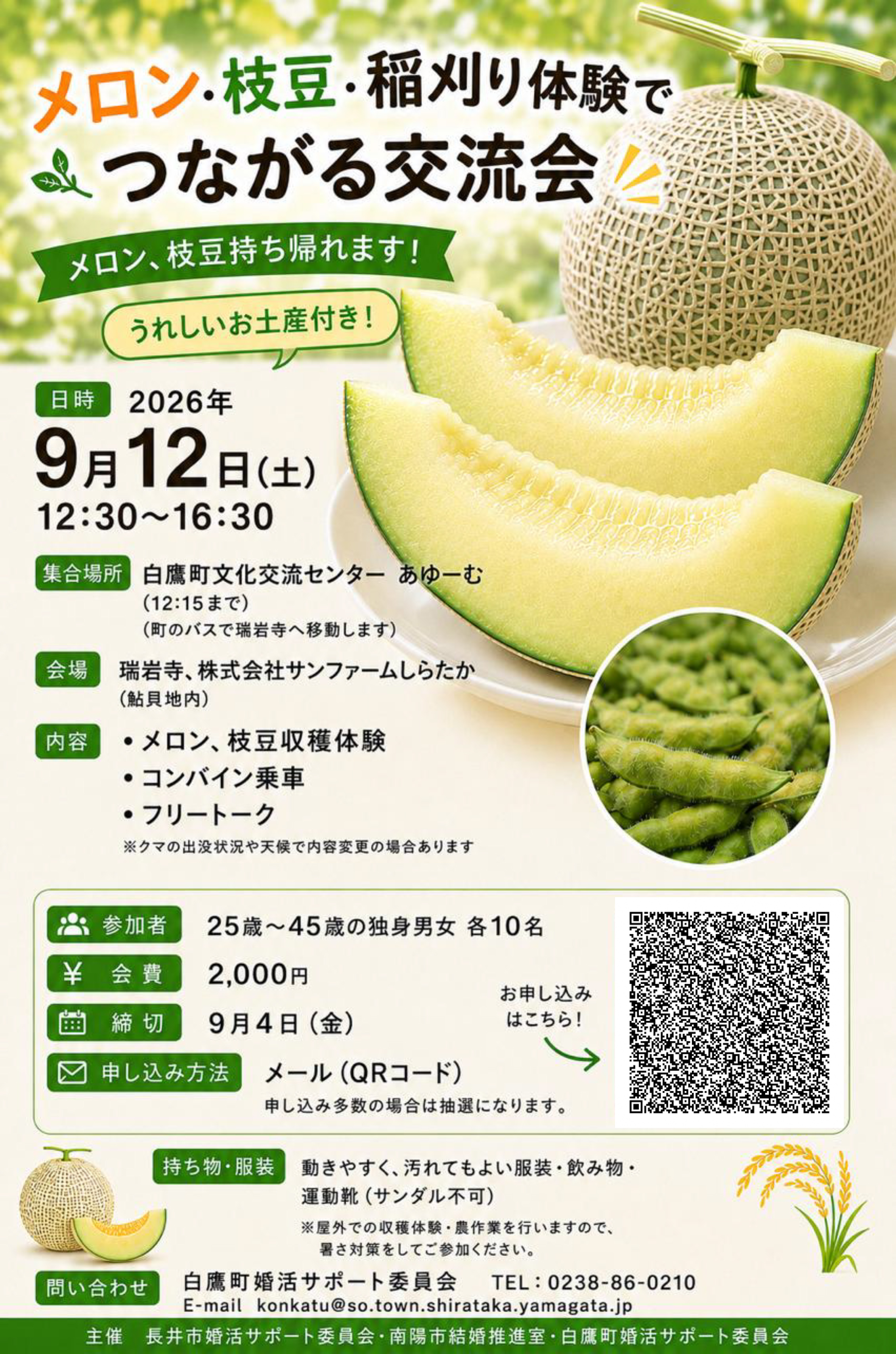 チラシ
